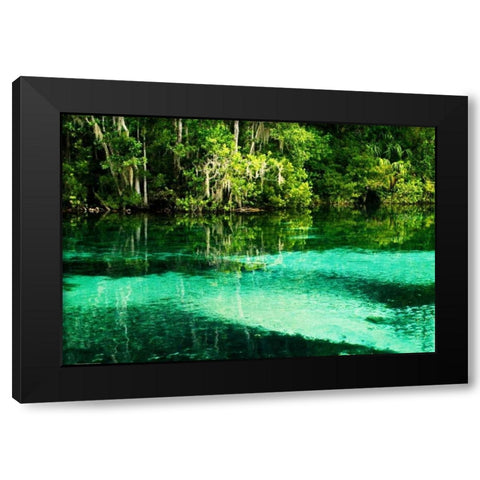 Clear Spring Waters II Black Modern Wood Framed Art Print with Double Matting by Hausenflock, Alan