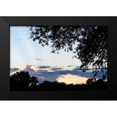 Sunset Through the Trees I Black Modern Wood Framed Art Print by Hausenflock, Alan