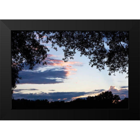 Sunset Through the Trees II Black Modern Wood Framed Art Print by Hausenflock, Alan