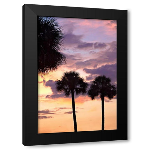 San Marcos Sunset V Black Modern Wood Framed Art Print by Hausenflock, Alan