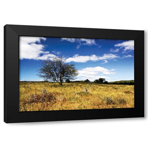 Big Meadow I Black Modern Wood Framed Art Print with Double Matting by Hausenflock, Alan