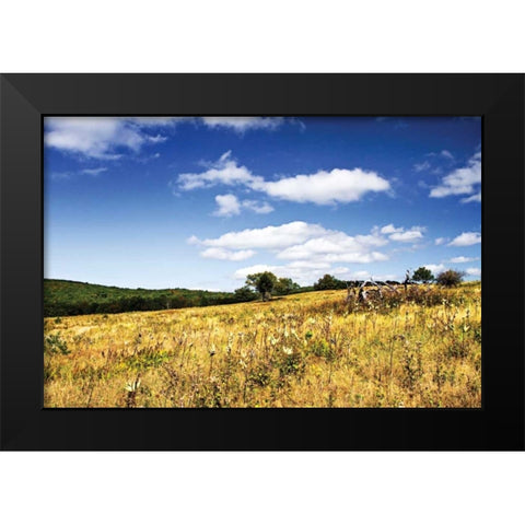 Big Meadow II Black Modern Wood Framed Art Print by Hausenflock, Alan