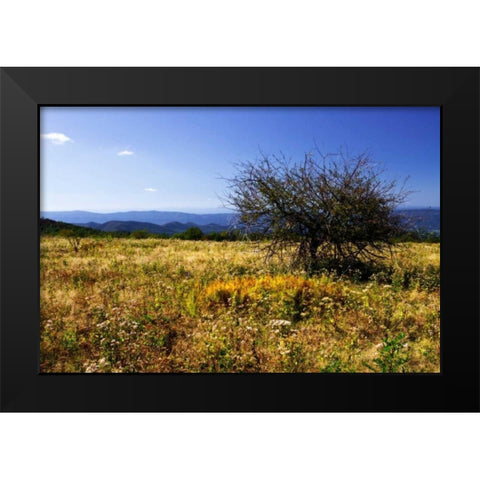 Distant Mountains III Black Modern Wood Framed Art Print by Hausenflock, Alan