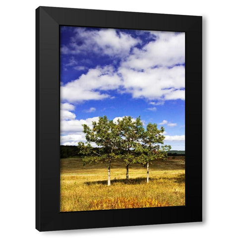 Autumn Fields IV Black Modern Wood Framed Art Print with Double Matting by Hausenflock, Alan