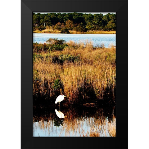 Assateague Island I Black Modern Wood Framed Art Print by Hausenflock, Alan