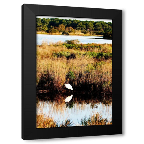 Assateague Island II Black Modern Wood Framed Art Print with Double Matting by Hausenflock, Alan