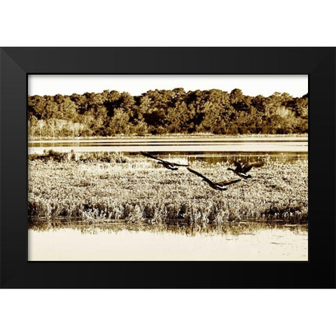 Assateague Island III Black Modern Wood Framed Art Print by Hausenflock, Alan