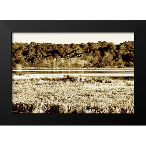 Assateague Island IV Black Modern Wood Framed Art Print by Hausenflock, Alan