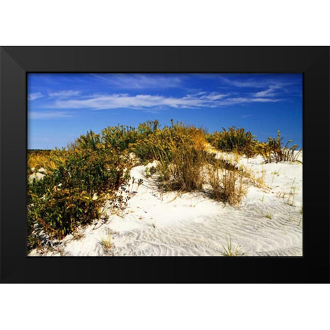 Assateague Beach I Black Modern Wood Framed Art Print by Hausenflock, Alan