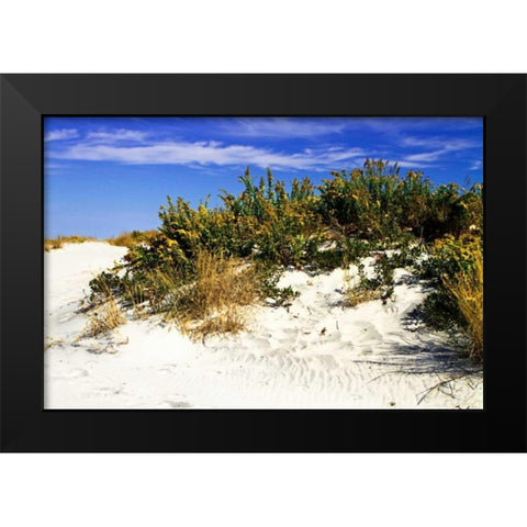 Assateague Beach II Black Modern Wood Framed Art Print by Hausenflock, Alan