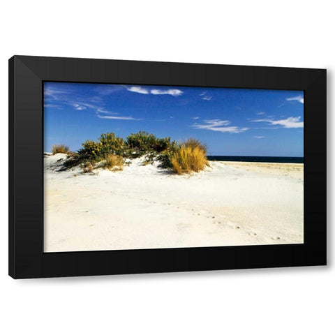 Assateague Beach III Black Modern Wood Framed Art Print with Double Matting by Hausenflock, Alan