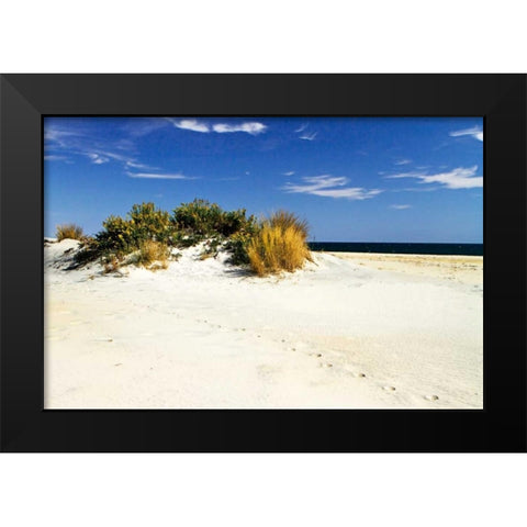 Assateague Beach III Black Modern Wood Framed Art Print by Hausenflock, Alan