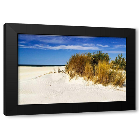 Assateague Beach IV Black Modern Wood Framed Art Print with Double Matting by Hausenflock, Alan