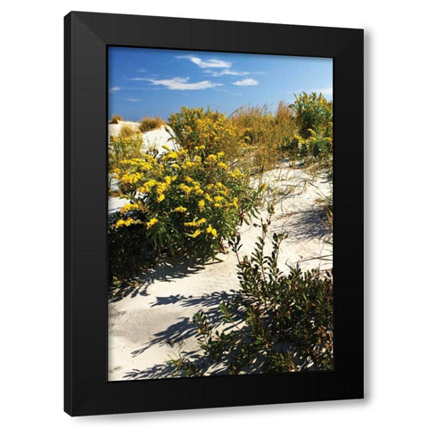 Assateague Beach V Black Modern Wood Framed Art Print with Double Matting by Hausenflock, Alan