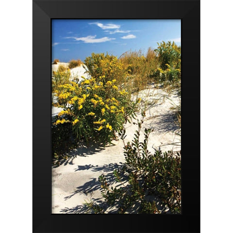 Assateague Beach V Black Modern Wood Framed Art Print by Hausenflock, Alan