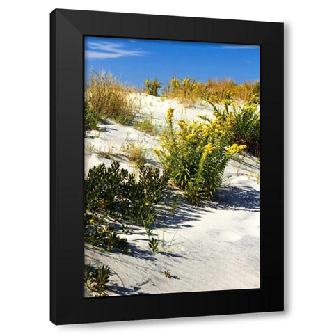 Assateague Beach VI Black Modern Wood Framed Art Print with Double Matting by Hausenflock, Alan