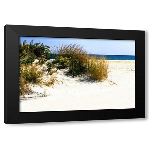 Assateague Beach VII Black Modern Wood Framed Art Print by Hausenflock, Alan