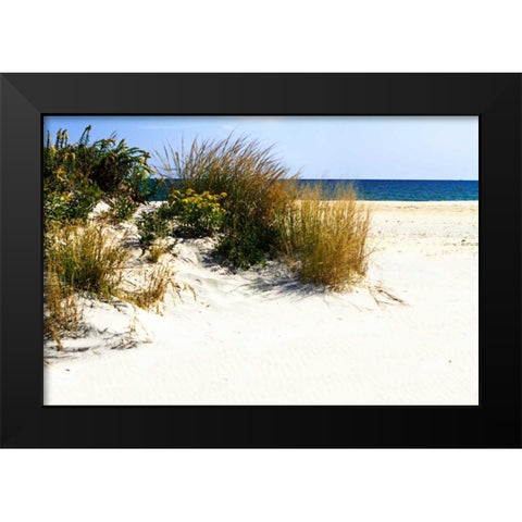 Assateague Beach VII Black Modern Wood Framed Art Print by Hausenflock, Alan