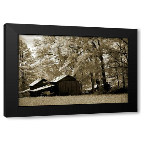 Tobacco Road Black Modern Wood Framed Art Print by Hausenflock, Alan