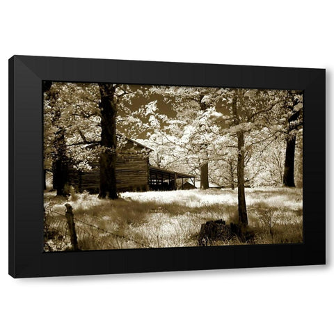 Smokehouse Black Modern Wood Framed Art Print with Double Matting by Hausenflock, Alan