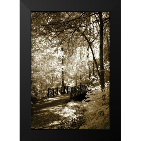 Summer Bridge Black Modern Wood Framed Art Print by Hausenflock, Alan