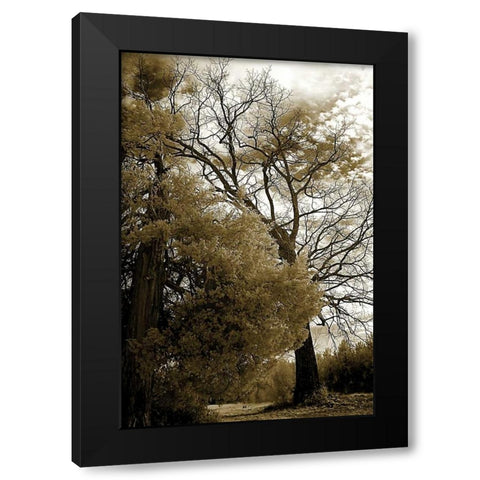 Winter Scene Black Modern Wood Framed Art Print with Double Matting by Hausenflock, Alan