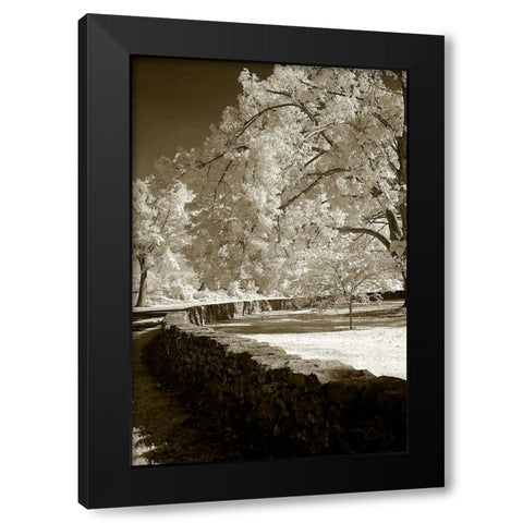 Seminary Wall Black Modern Wood Framed Art Print with Double Matting by Hausenflock, Alan