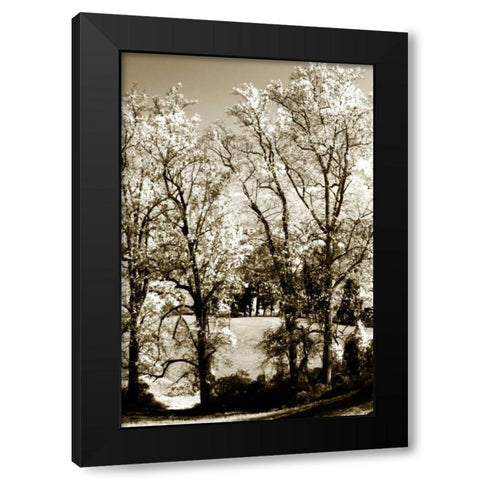 Autumn Meadow I Black Modern Wood Framed Art Print with Double Matting by Hausenflock, Alan