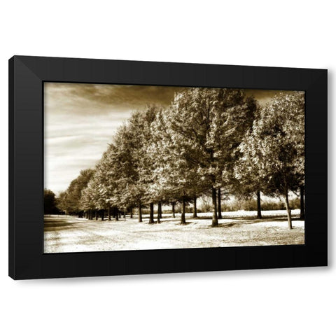 Plantation Road II Black Modern Wood Framed Art Print by Hausenflock, Alan