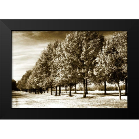 Plantation Road II Black Modern Wood Framed Art Print by Hausenflock, Alan