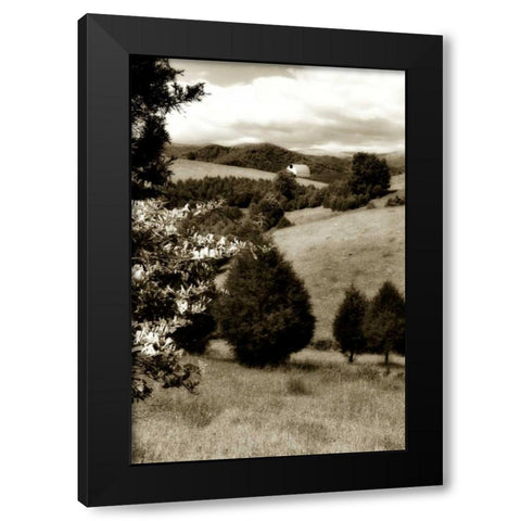 Madison County II Black Modern Wood Framed Art Print with Double Matting by Hausenflock, Alan