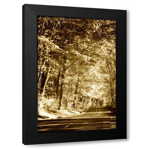 Autumn Wood Road III Black Modern Wood Framed Art Print with Double Matting by Hausenflock, Alan