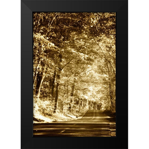 Autumn Wood Road III Black Modern Wood Framed Art Print by Hausenflock, Alan