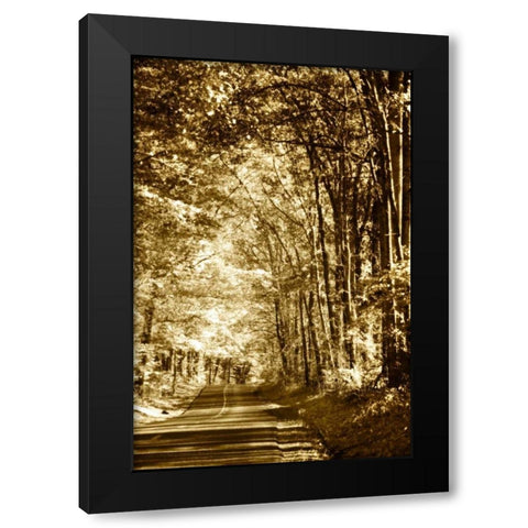 Autumn Wood Road IV Black Modern Wood Framed Art Print with Double Matting by Hausenflock, Alan
