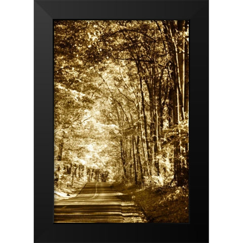 Autumn Wood Road IV Black Modern Wood Framed Art Print by Hausenflock, Alan