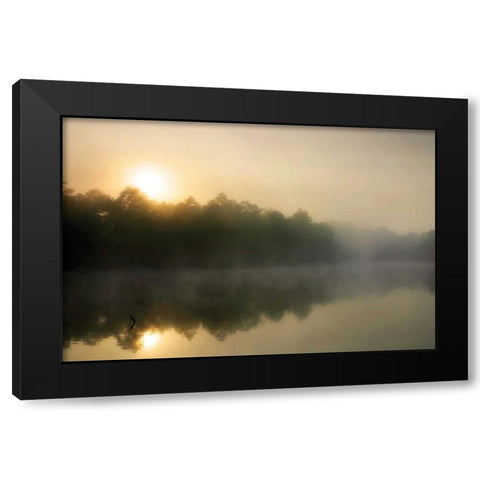 Fog on the Mattaponi III Black Modern Wood Framed Art Print by Hausenflock, Alan