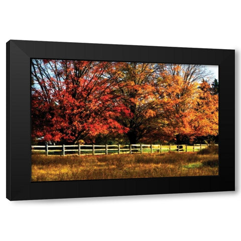 Autumn in the Fields Black Modern Wood Framed Art Print by Hausenflock, Alan