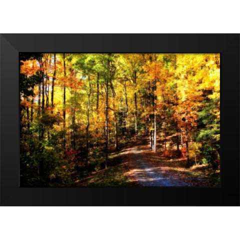 The Road Home Black Modern Wood Framed Art Print by Hausenflock, Alan