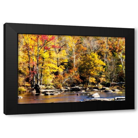 Autumn on the River VII Black Modern Wood Framed Art Print with Double Matting by Hausenflock, Alan