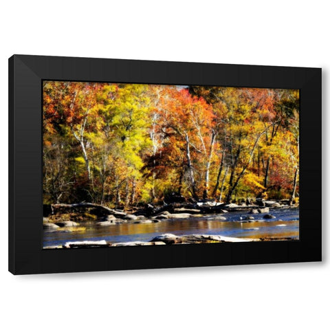 Autumn on the River VIII Black Modern Wood Framed Art Print with Double Matting by Hausenflock, Alan