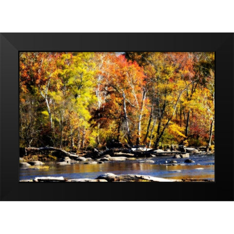 Autumn on the River VIII Black Modern Wood Framed Art Print by Hausenflock, Alan