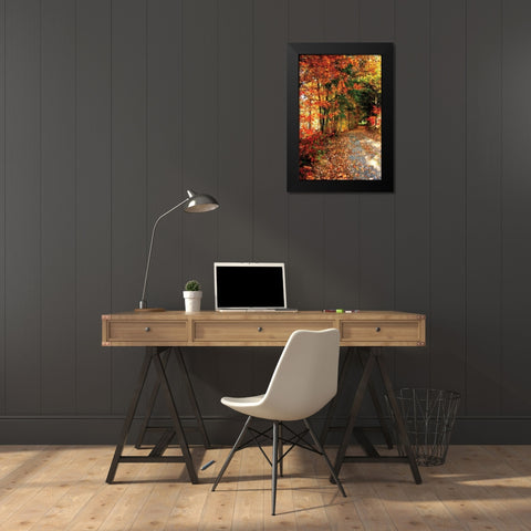 Autumn Pathway Black Modern Wood Framed Art Print by Hausenflock, Alan