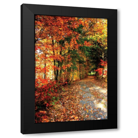 Autumn Pathway Black Modern Wood Framed Art Print with Double Matting by Hausenflock, Alan