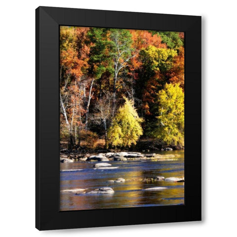Autumn on the River IX Black Modern Wood Framed Art Print with Double Matting by Hausenflock, Alan