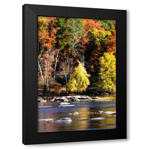 Autumn on the River IX Black Modern Wood Framed Art Print by Hausenflock, Alan