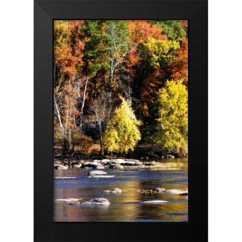 Autumn on the River IX Black Modern Wood Framed Art Print by Hausenflock, Alan