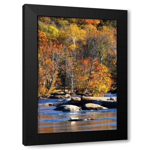 Autumn on the River I0 Black Modern Wood Framed Art Print with Double Matting by Hausenflock, Alan