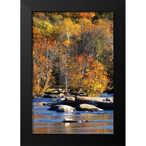 Autumn on the River I0 Black Modern Wood Framed Art Print by Hausenflock, Alan