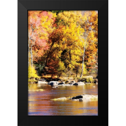 Autumn on the River II Black Modern Wood Framed Art Print by Hausenflock, Alan