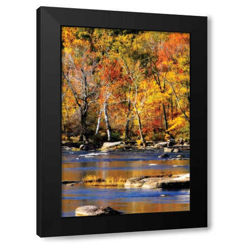 Autumn on the River I2 Black Modern Wood Framed Art Print by Hausenflock, Alan